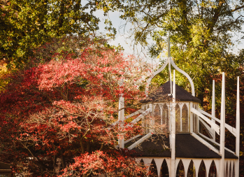 Cannizaro Park