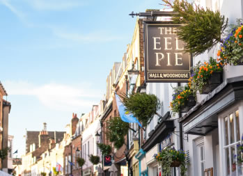 The Eel Pie