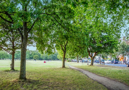 Wandsworth Common