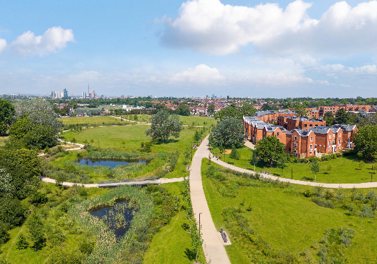 Wandsworth Common