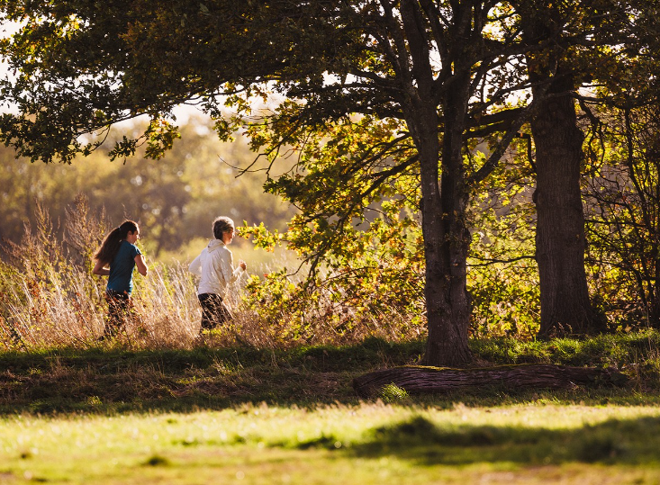 <span>Embrace A Life In Full Bloom</span>