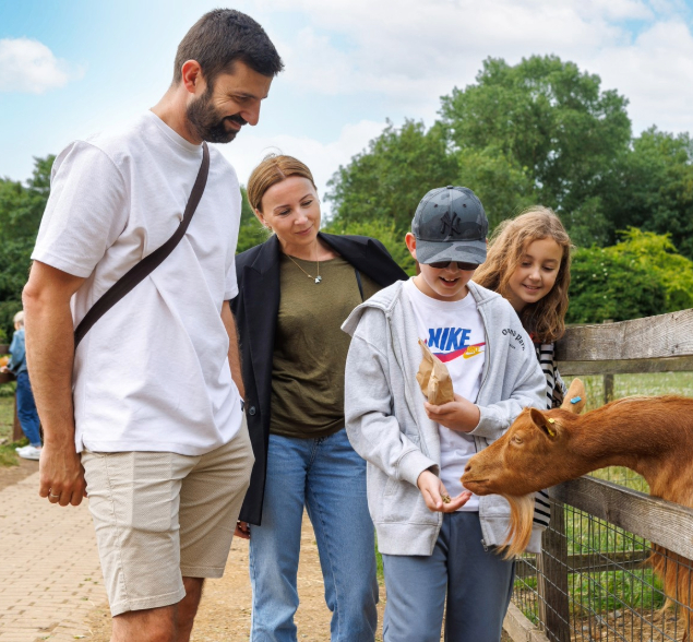 Family Activities in Wandsworth