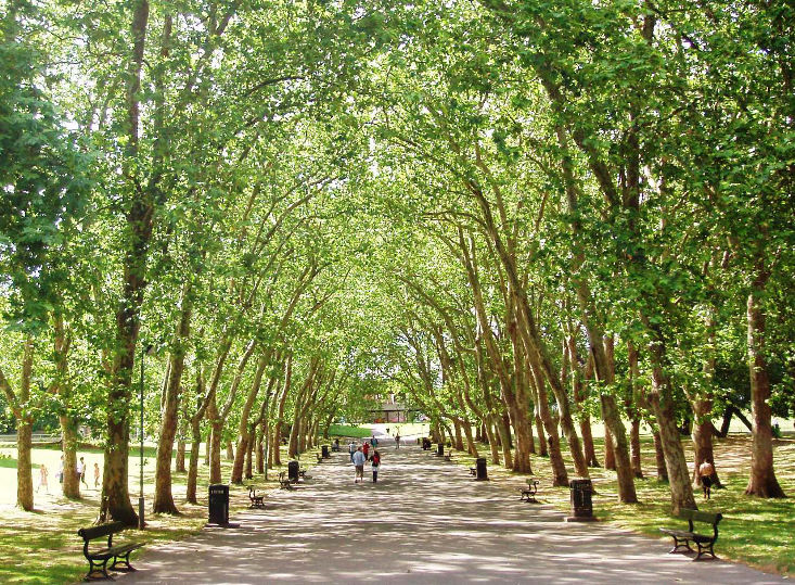 Best Parks in South London