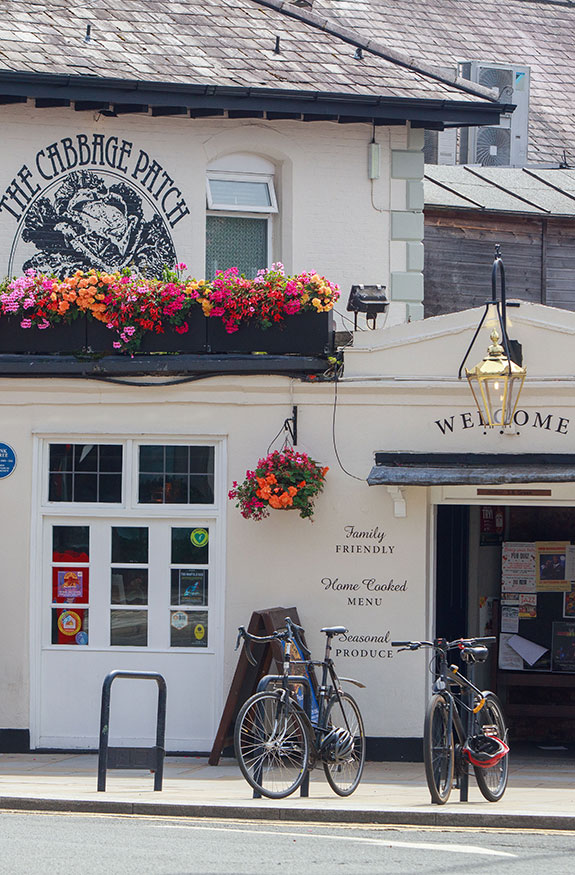 Your Half-Day Twickenham Green Itinerary
