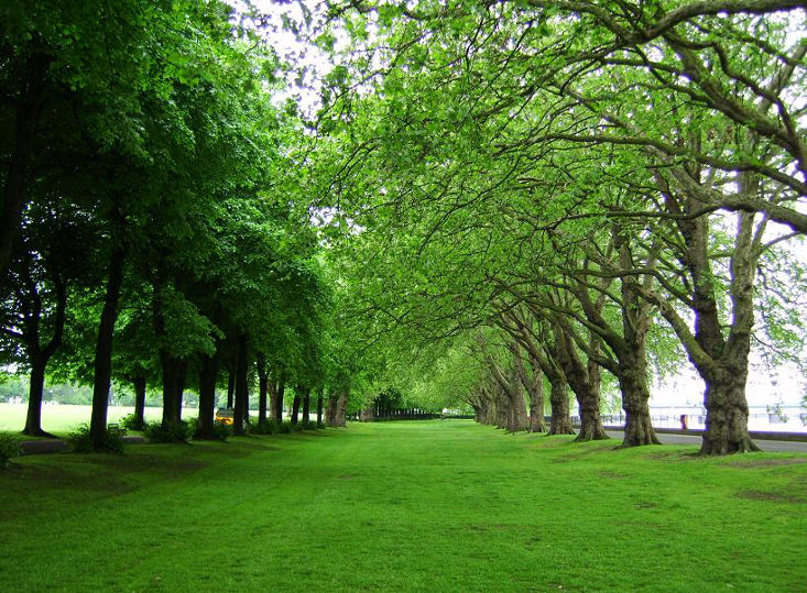 Best Parks in South London