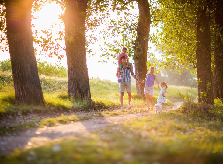 5 Things to Know Before Buying a Family Home