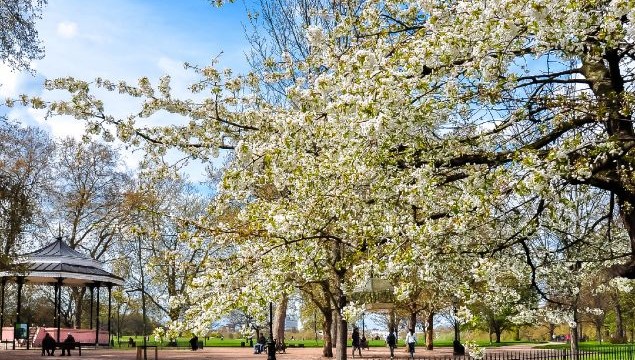 Best Parks in London for Walks