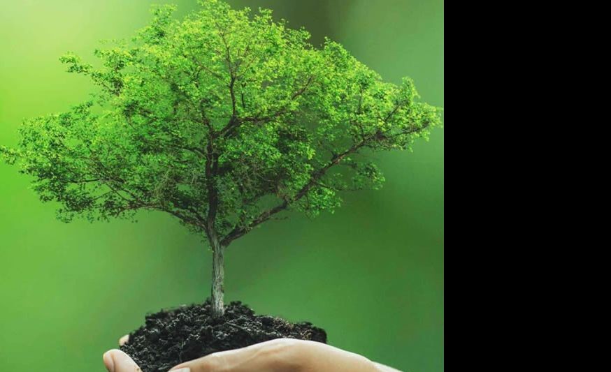 Top tips for making your home eco-friendly