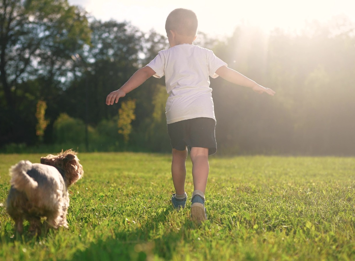5 Things to Know Before Buying a Family Home
